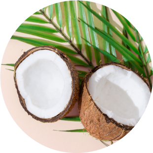 Natural Coconut Fragrance