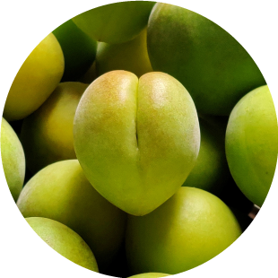 Kakadu Plum (Vitamin C) 